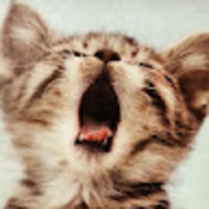 Meet your Posher, Krista